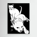 Cats